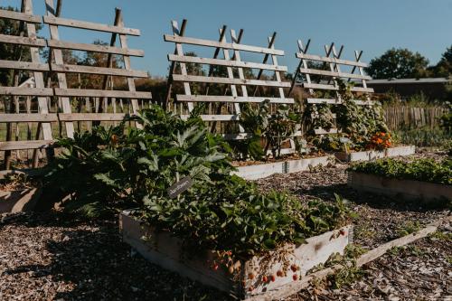 FleurFotografeert-17