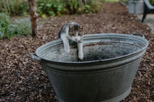 FleurFotografeert-25